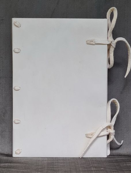 Vellum bound note book #2